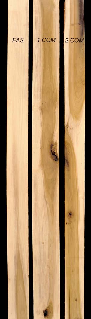 Sample grades of Poplar Lumber | Thompson Hardwoods